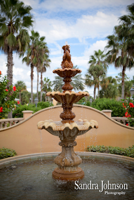 Best Orlando Wedding photographer - Sandra Johnson (SJFoto.com)